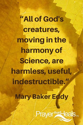 All of God's creatures, - a Mary Baker Eddy Quote